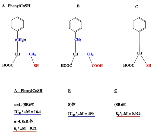 Fig. 10. Inhibition of IMP-1 metallo-β-lactamase by several inhibitors.  しかしながら、 2001 年 Mollard らより報告された阻害剤 C の IMP-1 に対する K i は 44) 29 nMでありPhenylC4SHの約 10 倍の阻害活性を示すことがわかった。Gotoら は 1997 年にメルカプトカルボン酸が IMP-1 に対して可逆的な阻害剤として働き、 その阻害定数K i は 0.23  µMであることを報告してい