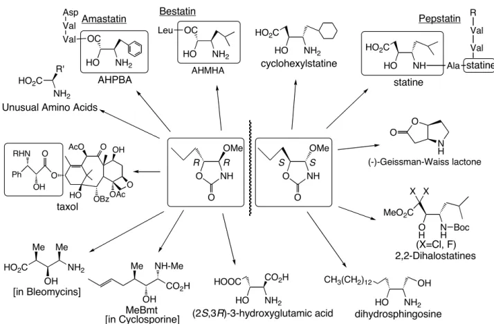 Figure 5.    Some 2-Amino Alcohols Derived from Chiral Synthons       また、特異な骨格を持つキラルな三環性化合物、いわゆる“屋根付き”化合物を人工不斉源として利用し た高度不斉反応の開発 5f) においては、三環系によるコンフォメーションの固定と立体的嵩高さにより高い不斉 制御能が期待できる 2− オキサゾリジノン誘導体 14) や、 2-イミダゾリジノン誘導体 15) 、 2-チアゾリジノン誘導体 16) をそれぞれ設計・合成し(Fig