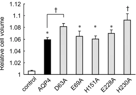 Figure  11.  Effects  of  mutated AQP4  expression  on  Osmotic  water  permeability  in Xenopus oocytes.