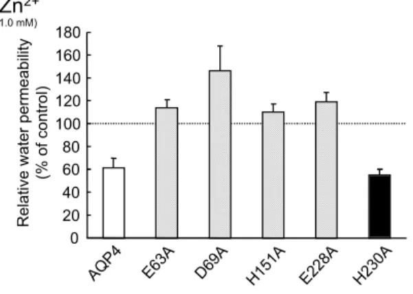 Figure  12.  Inhibitory  effect  of  metal ions on Osmotic water permeability of Xenopus oocytes expressing AQP4 and AQP4 mutants.