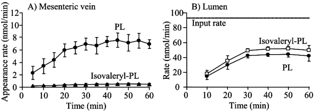 Fig. 7  Absorption of Isovaleryl-PL in Rat Jejunal Single-pass Perfusion.