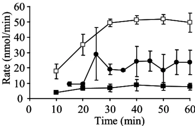 Fig. 8  Absorption and Secretion of Isovaleric Acid (IVA) Derived from  Isovaleryl-PL in Rat Jejunal Single-pass Perfusion with Isovaleryl-PL