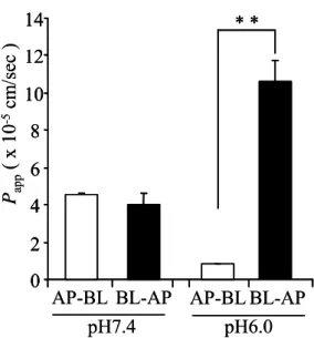 Fig. 10  Apparent Permeability Coefficients (P app ) of Transport of  PL across Caco-2 Cell Monolayers