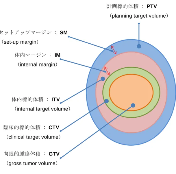図 1-5  ICRU report 62  での各ターゲットの定義[6] 