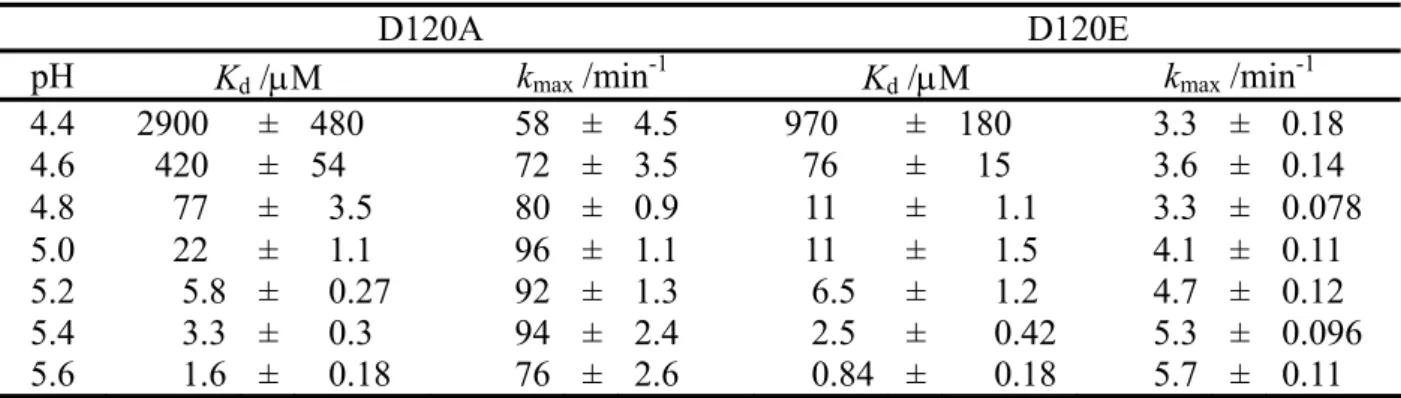 Table 3.      The dissociation constant of Zn(II) from WT and the IMP-1 mutants, D120(81)A  and D120(81)E with concentration of Zn(II) determined using nitrocefin as the  substrate