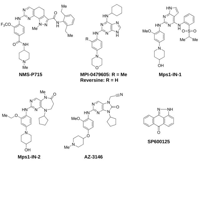 Figure 0-3. Mps1 Kinase Inhibitors