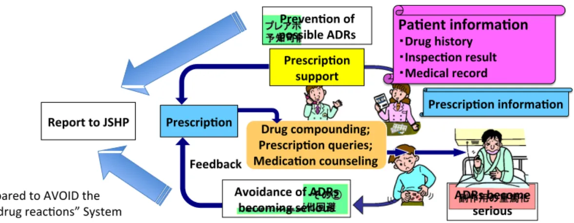 Fig. 1. Outline of the “Be PREpared to AVOID the adverse drug reactions” system.   