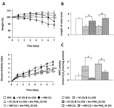 Fig. 9. Effect of dm-PGE2 on exacerbation of DSS-induced colitis by NSAIDs.   