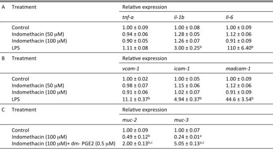 Table 6. Effect of indomethacin and dm-PGE 2  on mRNA expression of various proteins in vitro 