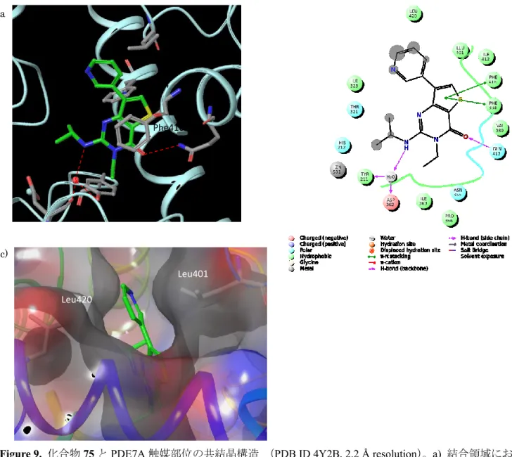 Figure 9.  化合物 75 と PDE7A 触媒部位の共結晶構造  （PDB ID 4Y2B, 2.2 Å resolution） 。a)  結合領域にお ける化合物 75（緑色）の複合体。水素結合を点線で表し、重要な水分子を記載。b) Maestro 9.8 で生成し た 2 次元相互作用図。c)  チエノピリミジノン 7 位周辺における PDE7 結合ポケットの分子表面図。    本系統が PDE7 に対する高い親和性を示すのに重要な相互作用を確認した。1 つ目に、2-イソプロピル アミノチエノ