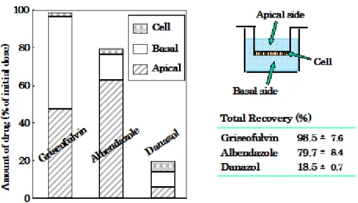 Fig. 3    Amount of drugs in apical and basal solution and Caco-2 cell after permeation  experiments 