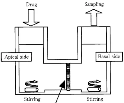 Fig. 4    Dissolution / Permeation system (D/P system ： Parallel chamber ) 