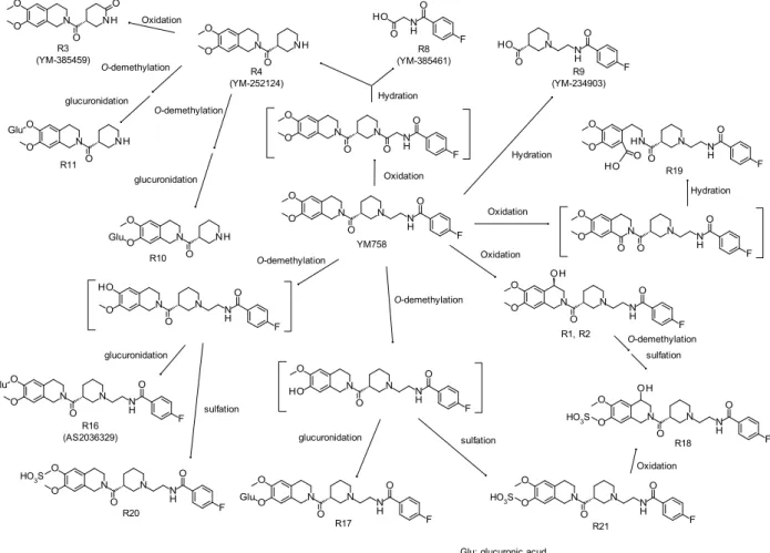 Figure 9. Metabolic pathways of YM758 in rats 