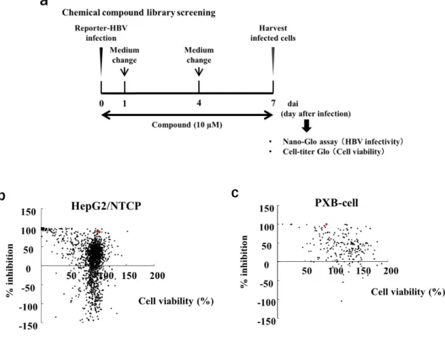 Figure 8. High-throughput screening of anti-HBV drugs using recombinant HBV/NL.  (a) Scheme for  experiments  b  and  c
