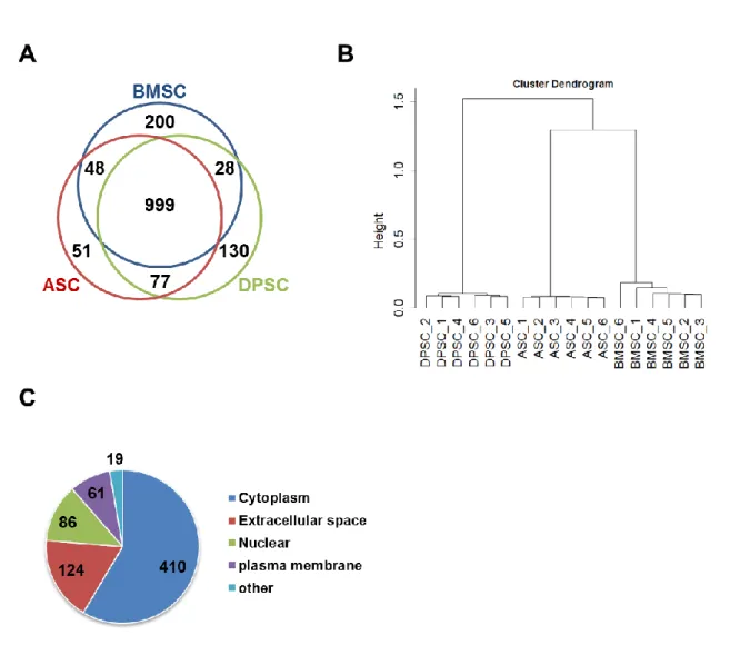 Figure  5.  Proteome  analysis  of  the  conditioned media  from  BMSCs, ASCs  and  DPSCs  by mass  spectrometry