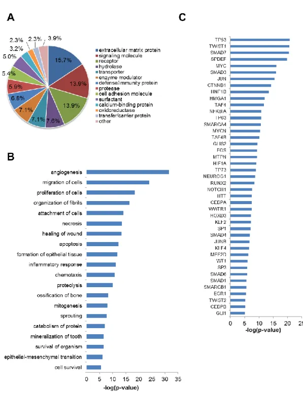 Figure  7.  Characterization  of  124  proteins  identified  as  common  secreted  factors  by  secretory  proteome analysis of BMSCs, ASCs and DPSCs