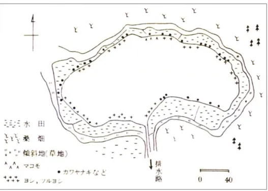 図 1-15  1950 年（環境整備前）の深見池の湖岸植生 