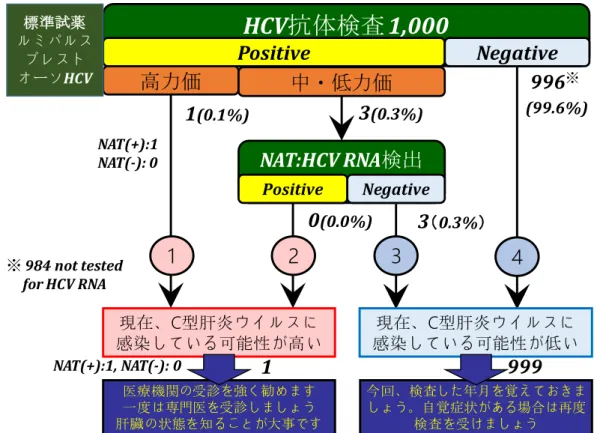 図 3  HCV 検診受診者 1,000 人の測定結果の解析―ルミパルスプレストオーソ HCV―  図 4  HCV 検診受診者 1,000 人の測定結果の解析―ルミパルスⅡオーソ HCV― HCV抗体検査1,000PositiveNegative高力価中・低力価NAT:HCV RNA検出PositiveNegative現在、C型肝炎ウイルスに感染している可能性が高い現在、C型肝炎 ウイルスに感染している可能性が低 い１２３４996 ※ (99.6%)1(0.1%)3(0.3%)3（0.3%）0(0.0%)