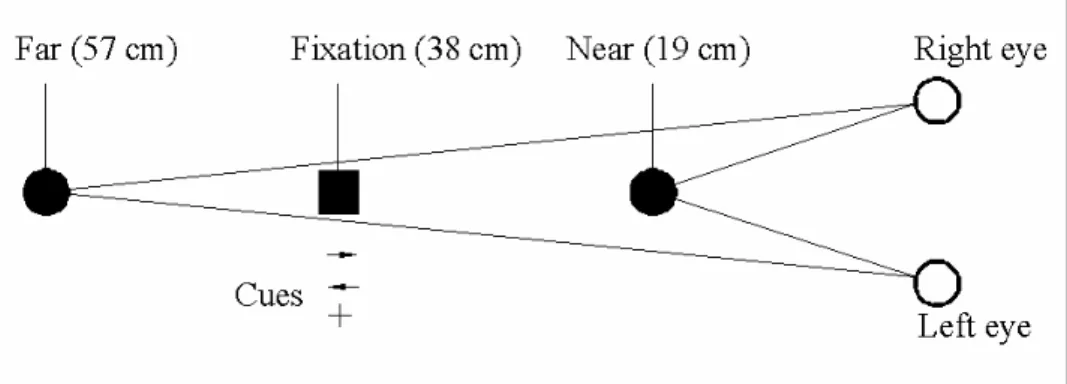 Figure 1-9 Collocation of cue and stimuli in the experiment of Gawryszewski et al. 