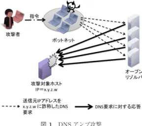 Fig. 1 Model of DNS amplification attack.