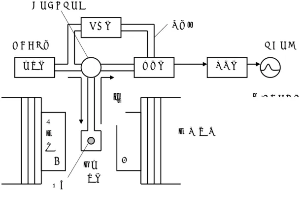 図 2.1  ゼーマン分裂(スピンの集団の場合)    電子スピン共鳴装置の使用するエネルギー源は，マイクロ波領域を用いている.分光の原理 はアインシュタインの次式による