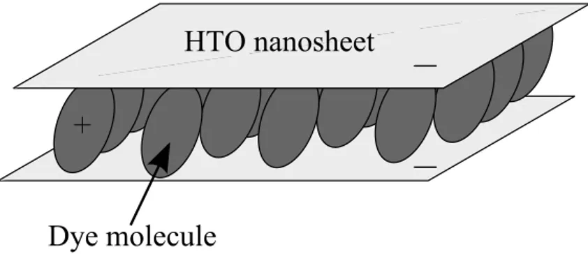図 4.4 層間に有機色素を含む HTO ナノシートの模式図