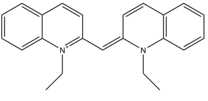 図 5.1 PIC の分子構造