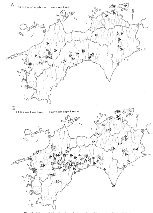Fig 1 Mapsofdistributionof15speciesofbats（A〜0）inShikoku． 