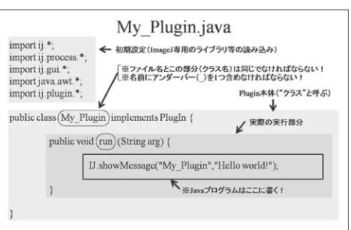 Fig. 2  Macro.txt （Fig. 1）を Plugin プログラムに変換したも