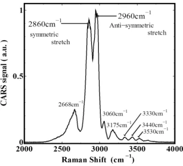 図 4.4 に 800nm と 1260nm の倍波である 640nm を励起光として PVA に入射したと きの CARS Signal のスペクトルを示す。このとき、 Probe パルスである k 3 ( ω 3 ) パルス の遅延時間は τ = 0 (ps) に固定し、 Pump パルス k 1 ( ω 1 ) と Stokes パルス k 2 ( ω 2 ) と同時 に励起したときのものである。 図 4.4: PVA の CARS スペクトル この CARS スペクトルで顕著であるのは、 2860 