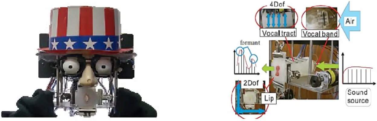 Figure 2.15: “Burpy” the speaking robot  Infant-like Vocal Robot “Lingua”: 