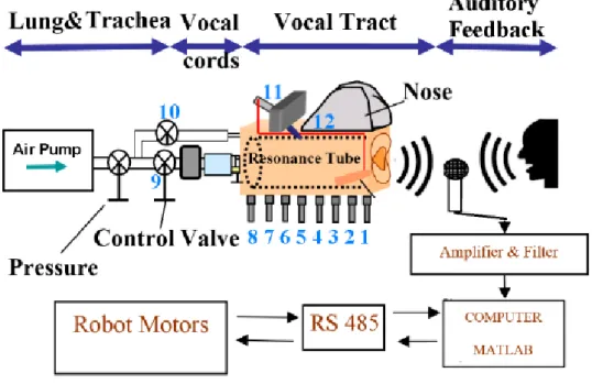 Figure 3.1:  Structure of the talking robot 