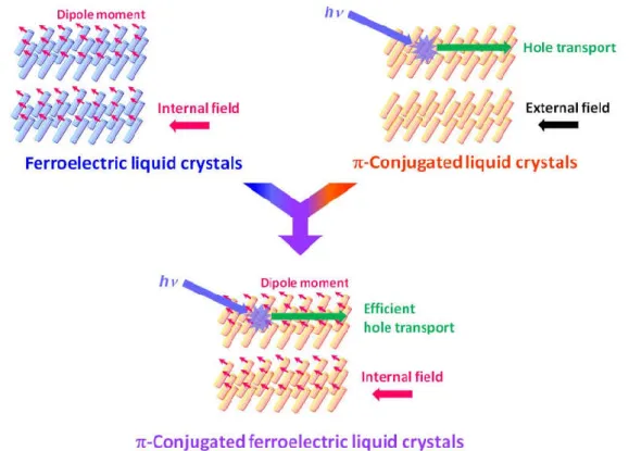 Figure  1-1.  Schematic  illustrations  of  -conjugated  ferroelectric  liquid-crystalline  system  as  an  example of multi-functional materials