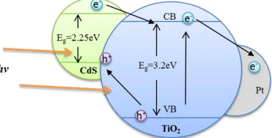 Figure 1.4.  Schematic illustrating the  charge separation process  by the TiO 2   surface  modification with metal (Pt) and semiconductor (CdS)