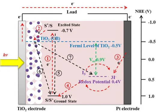 Figure 1.8. Operation principle of DSSC and main electron paths in the cell. 