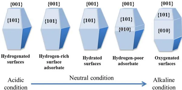 Figure  1.12.  Predicted  morphology  of  anatase  nanoparticles  in  acidic  and  alkaline  conditions
