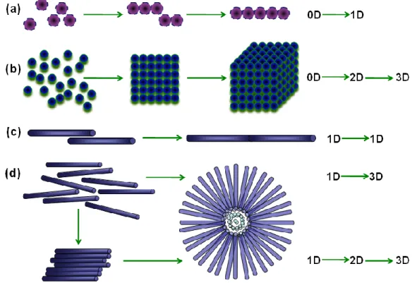 Figure  1.2  Var ious  organizing  dimensional  schemes  for  self-construction  of  nanostructures  by  possible oriented attachment or assembly mechanisms