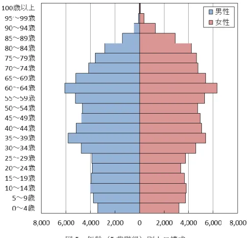 図 5  年齢（5 歳階級）別人口構成 