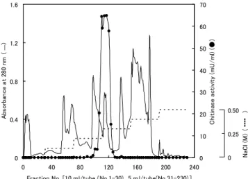Fig. 2.  Elution profile of recombinant family  19 chitinse  from DEAE-Sepharose Fast Flow column