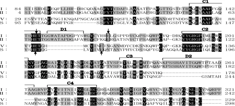 Fig. 6.  Alignment of the amino acid sequence in the catalytic domain of  Streptomyces family 19 chitinase with those of plant  family 19 chitinases  （classes I, II, and IV） .
