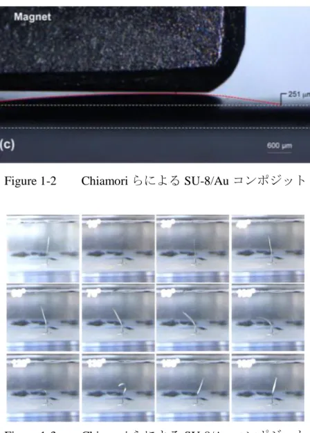 Figure 1-2    Chiamori らによる SU-8/Au コンポジット
