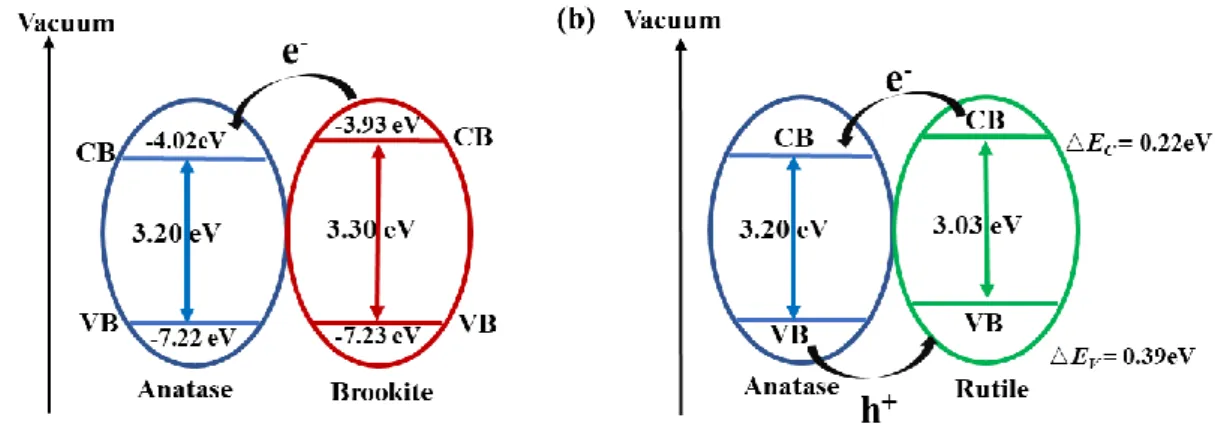 Figure 1.3. Schematic illustration of band edges and transfer of photogenerated electron and  hole of (a) anatase and brookite composite and (b) anatase and rutile composite