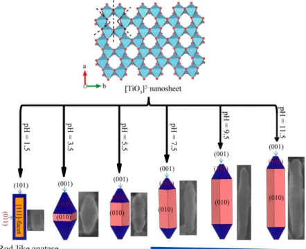 Figure 1.9. Transformation reaction mechanism from layered metatitanic lithium oxides to anatase  TiO 2  nanocrystal and simulated crystalline shapes