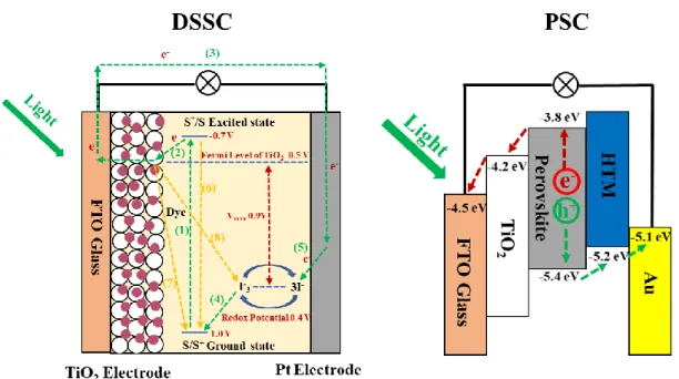 Figure 1.20. Operation principles of typical DSSCs and PSCs 