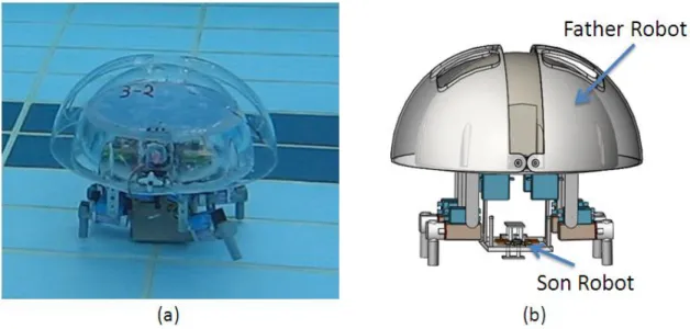Figure 2- 3 Father-son robot configuration: (a) prototype of the  amphibious father robot and (b) the conceptual design of the father-son 
