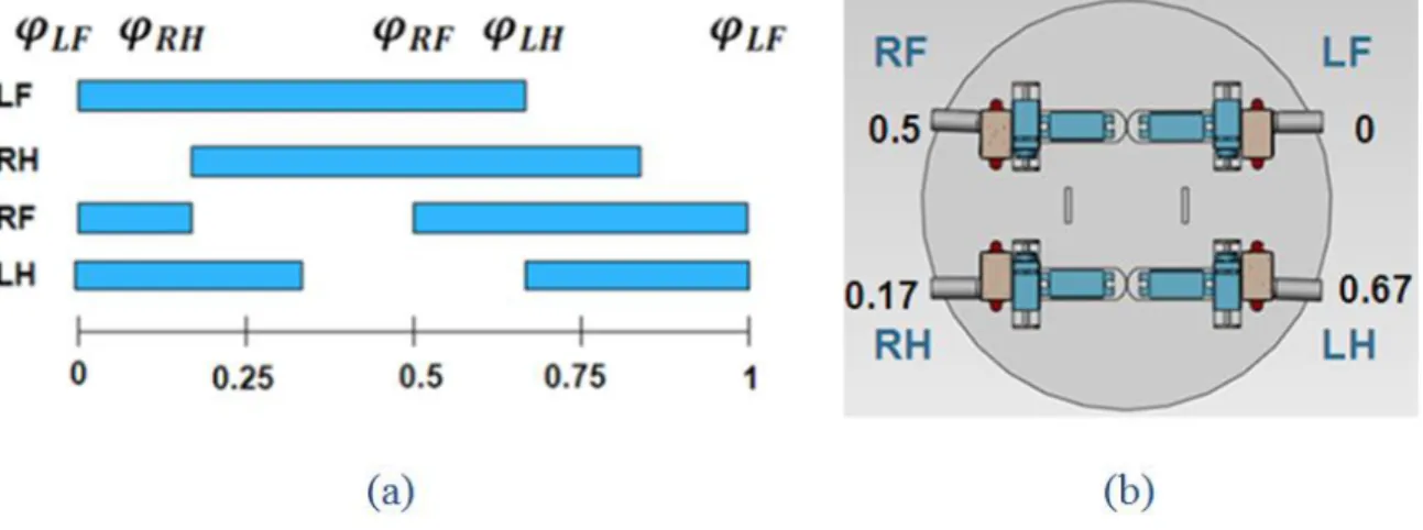 Figure 3- 5 Event sequences (a) and relative phases (b) of one gait cycle  for the walking gait 