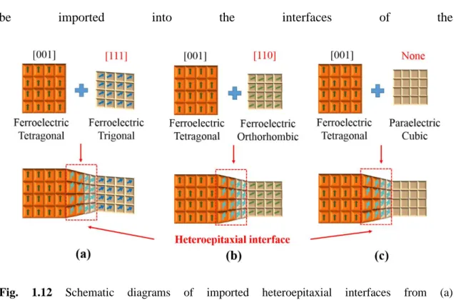 Fig.  1.12  Schematic  diagrams  of  imported  heteroepitaxial  interfaces  from  (a)  ferro-tetragonal-ferro-trigonal  composite  with  polarization  direction  along  [001]  and  [111] 