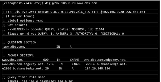 図  1  中国聯通の DNS に www.dbs.com のクエリを実施 