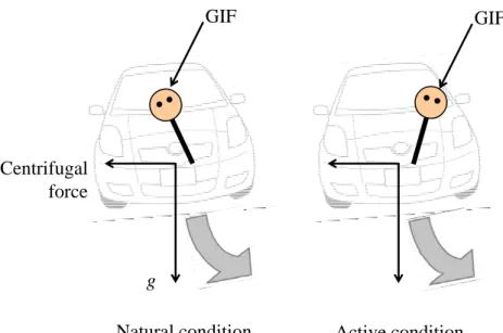 Figure 1. Typical head postures in the natural and active conditions 