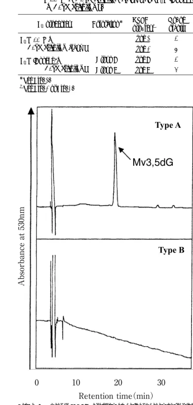 Fig. ３.  Typical HPLC profiles of anthocyanins extracted  from the slips in F １ （ʻAnnekeʼ ×C
